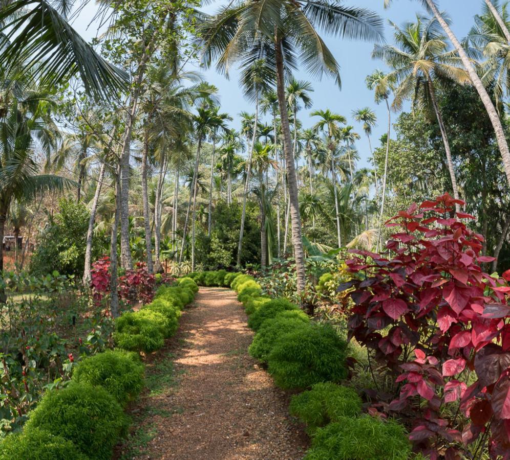 Kahani Paradise Gokarna  Luaran gambar